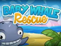 Baby Whale Rescue